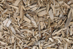 biomass boilers Lisvane